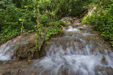 Sakin bir ormanda, yemyeşil yemyeşil kayaların üzerinde yumuşak bir akarsu taşar. Güneş ışığı ağaçların arasından süzülür, sahnenin huzurlu atmosferini yükseltir..