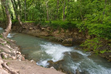 Açık bir nehir yeşil ağaçlar ve çalılarla dolu canlı bir ormanın içinden esiyor. Güneş ışığı yaprakların arasından süzülerek barışçıl bir atmosfer yaratır. Yumuşak su kayaların üzerinden akar.