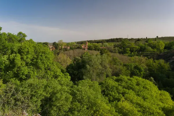 Yoğun ağaçlar ve çalılarla dolu canlı yeşil bir manzaranın geniş bir görüntüsü, öğleden sonra geç saatlerde açık bir gökyüzünün altında birkaç ev görülebilir..