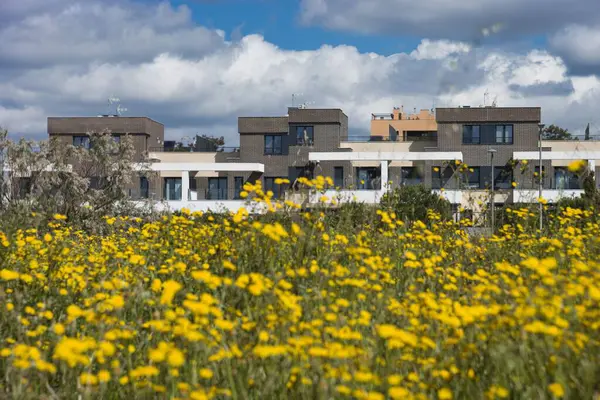Çağdaş mimari, sarı çiçeklerle çevrili bir yerleşim bölgesinde sergilenmektedir. Güneş ışığı, açık mavi bir gökyüzünü ve yukardaki yumuşak bulutları gözler önüne seriyor..