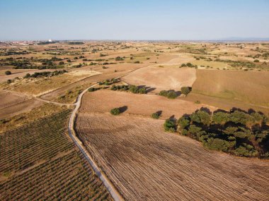 Uçsuz bucaksız bir tarımsal manzara çeşitli renkler sergiliyor, kıvrımlı toprak bir yol boyunca ağaçların kümeleriyle karışıyor. Gökyüzü açık ve güneş manzarayı aydınlatıyor..