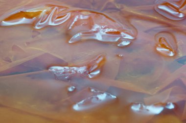 Yakın çekim, pürüzsüz, yansıtıcı yüzeyleri ve canlı renkleri olan jelatinli bir maddeyi ortaya çıkarır. Işık dokuyla etkileşime girer ve büyüleyici bir etki yaratır..