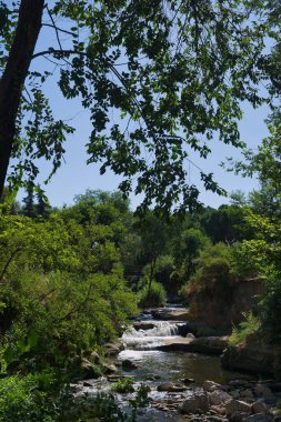 Huzurlu bir nehir, canlı yeşil ağaçlar ve yapraklarla çevrili kayaların üzerinden yavaşça akar. Güneş ışıl ışıl parlıyor, öğleden sonra huzurlu bir açık hava ortamı yaratıyor..
