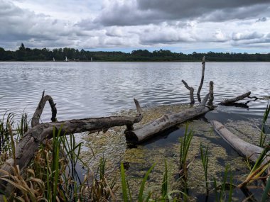 Bereketli yeşilliklerle çevrili sakin bir göl manzarası, kıyıya düşen dallar ve bulutlu bir gökyüzü. Mekan huzurlu, rahatlamak ve düşünmek için mükemmel..