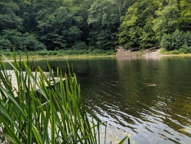 Güneşin altında, yemyeşil ağaçlar ve uzun otlarla çevrili sakin bir göl. Sakin bir atmosfer, korunmuş bir bölgede barışı ve doğanın güzelliğini çağrıştırır..