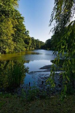 Sakin bir göl parlak mavi gökyüzünü yansıtan canlı ağaçlar tarafından çerçevelenir. Sıcak bir öğleden sonra dinlenmek ve düşünmek için mükemmel huzurlu bir atmosfer yaratır..