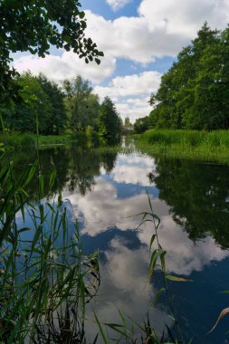Sakin bir nehir, açık mavi gökyüzünün altındaki yeşil ve bulutları yansıtır. Yemyeşil ağaçlar kıyılarda, doğada barışçıl bir atmosfer yaratıyor..