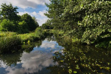 Sakin bir nehir, gökyüzünü ve kıyıları boyunca uzanan ağaçları yansıtır ve sakin bir atmosfer yaratır..