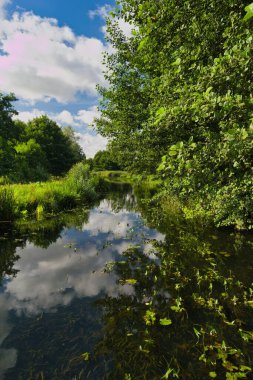 Bereketli bitki örtüsü, berrak kabarık bulutların ve çevreleyen ağaçların kristal berrak yansımalarıyla sakin bir nehri çevrelemektedir. Güneş ışığı, sahnenin sakin atmosferini arttırır..