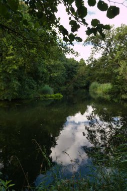Sakin bir nehir yoğun bitki örtüsünün içinden akar, her iki tarafında ağaçlar sakin bir atmosfer yaratır. Su bulutları ve yeşilliği yansıtır, doğal güzelliği artırır..