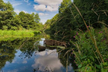Huzurlu bir nehir yemyeşil bir arazide akıyor, ağaçlar kıyıları kaplıyor ve yakınlarda renkli çiçekler açıyor. Kabarık bulutlar suyun yüzeyine yansıyarak sakin bir atmosfer yaratıyor..