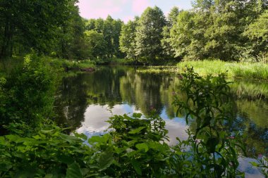 Sakin bir gölet, berrak mavi gökyüzünü ve etrafındaki ağaçları yansıtır ve sakin bir atmosfer yaratır. Bereketli yeşil bitkiler suyu çerçeveletip bölgenin doğal güzelliğini artırıyor..