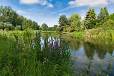 Sakin bir nehir yemyeşil bir arazide yavaşça akar. Bereketli ağaçlar ve renkli çiçekler, parlak mavi gökyüzünü ve yukardaki yumuşak bulutları yansıtıyor. Doğa uyum içinde gelişir..