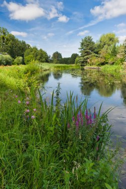 Bereketli yeşilliklerle çevrili sakin bir nehir kıyısı, suyun kenarında açan rengarenk kır çiçeklerine ev sahipliği yapar. Güneş tepemizde ışıl ışıl parlar ve dingin bir atmosfer yaratır..