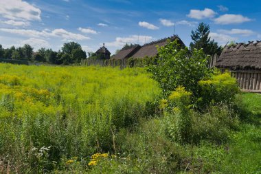 Vahşi çiçeklerle dolu canlı yeşil bir alan geleneksel sazdan çatı evlerine doğru uzanıyor. Parlak mavi gökyüzü bu kırsal bölgenin sakin atmosferini gün boyunca artırır..