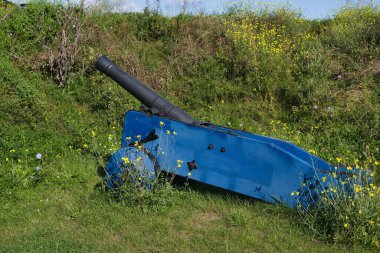 Mavi bir top çimenlerin üzerinde duruyor, kısmen canlı kır çiçekleriyle çevrili. Ortam açık gökyüzüyle yemyeşil bir alan. Bu tarihi eser bir macera hissi uyandırıyor..
