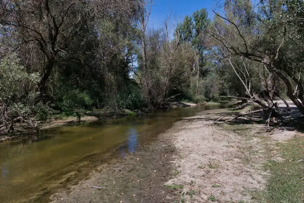 Parlak mavi bir gökyüzünün altındaki ağaçlarla çevrili, yemyeşil ve kumlu kıyılarda huzurlu bir dere esiyor. Bu huzurlu ortam, doğanın güzelliğine mükemmel bir bakış sunuyor..