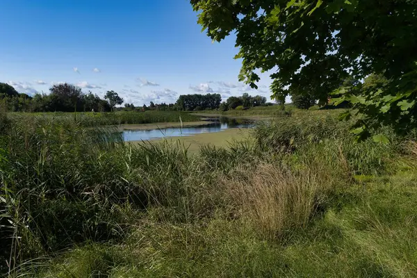 Huzurlu bir nehir manzarasında parlak yeşil bitkiler ve açık mavi gökyüzünü yansıtan su görülüyor. Doğanın sakinliği, bu kırsal alanda rahatlama ve tefekküre davetiye çıkarır..