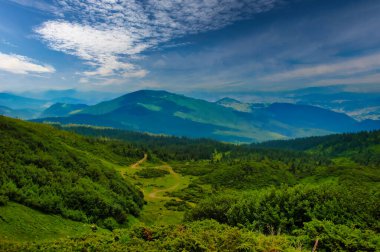 Karpatlar 'ın dağlarında duman ve bulutlar. Dağın tepesinden çayır ve ağaçlar. Ukrayna, Karpatlar, 22 Ağustos 2013
