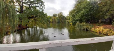 Gölün köprüsünden güzel bir manzara ve suyun üzerindeki ördekler.