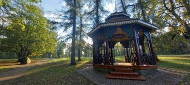 Doğada yeşil bitkiler ve güneş ışığıyla taşlarla döşenmiş güzel, otantik, ahşap bir çardak.