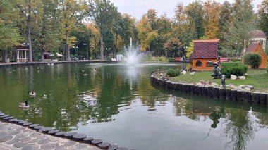 Parktaki gölde ördekler ve çeşmelerle