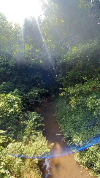 Bir Sürü Yeşil Bitkisi Güneş Işınları Olan Küçük Bir Nehir — Stok fotoğraf