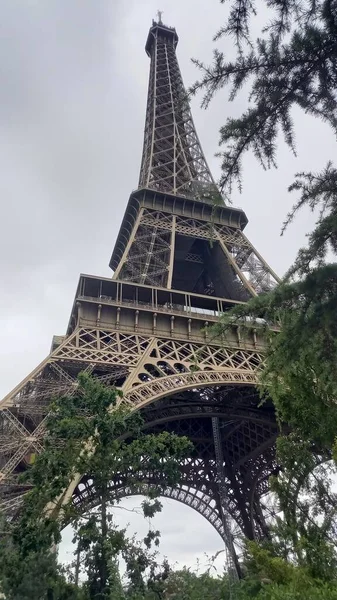 Tour Eiffel Avec Des Plantes — Photo