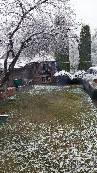Jarda Inverno Com Carro Jardim Casa Cão — Fotografia de Stock
