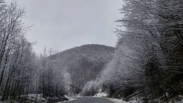 Zimní Cesta Hor Mezi Lesy — Stock fotografie