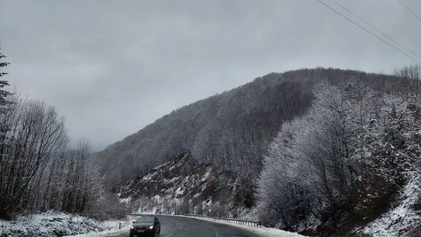 Estrada Inverno Para Montanhas Entre Floresta — Fotografia de Stock