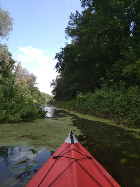 Kayak on the river with greenery