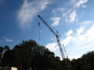 Ağaçların üstündeki mavi gökyüzüne bir vinç yükselir.