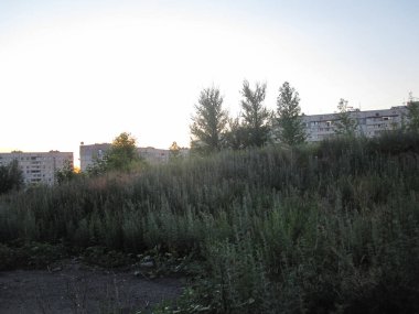 Binaların önünde uzun otlar var.