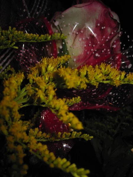Festlich Leuchtende Verschiedene Blumen Gelb Rosa Weiß — Stockfoto