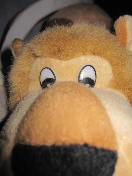 The face of a toy animal with a nose, fur and eyes