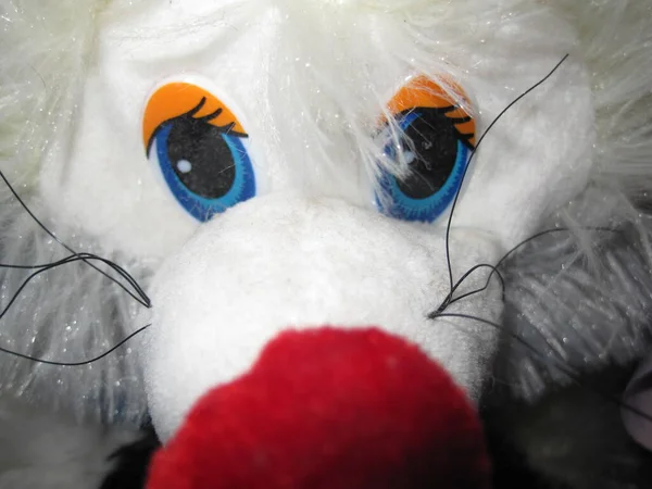 Обличчя Іграшкової Тварини Носом Хутром Очима — стокове фото