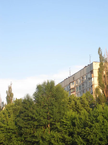Gökyüzü Bina Yeşil Ağaçlar — Stok fotoğraf