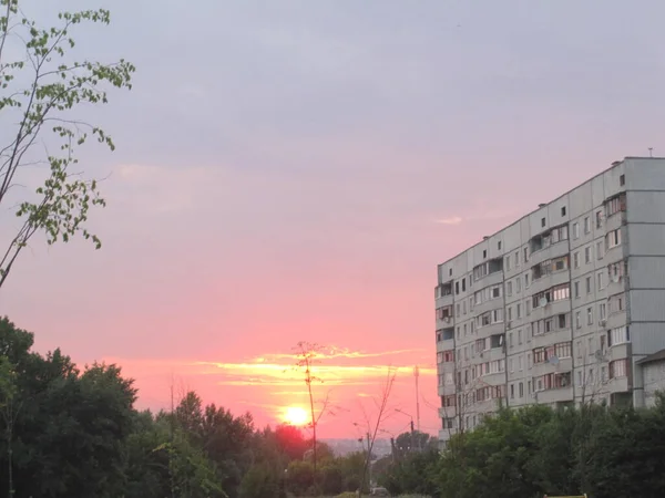 Hochhaus Und Pflanzen Hintergrund Des Sonnenuntergangs — Stockfoto