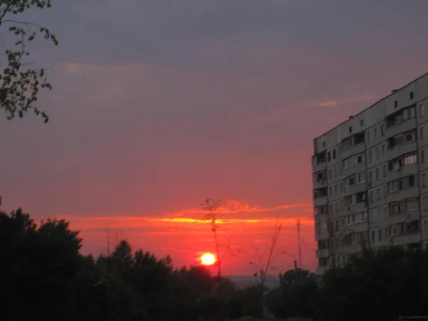Günbatımının Arka Planında Yüksek Binalar Bitkiler — Stok fotoğraf