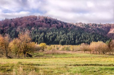 Sonbaharda Karpat dağları. Renkli sonbahar manzara sahnesi.