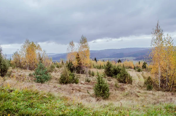 Karpaty Jesieni Kolorowa Jesienna Scena Krajobrazu — Zdjęcie stockowe