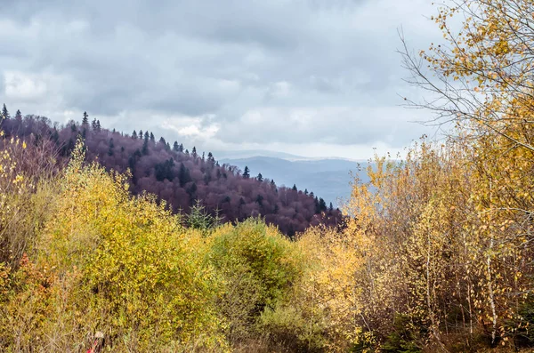 Podzim Karpatských Horách Barevná Podzimní Scéna — Stock fotografie