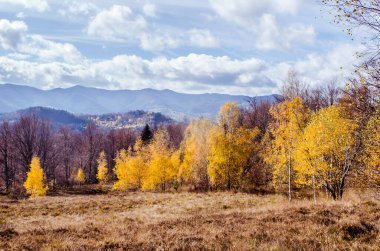 Sonbaharda Karpat dağları. Renkli sonbahar manzara sahnesi.