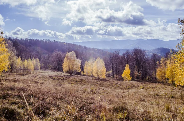 Pegunungan Carpathian Musim Gugur Adegan Lanskap Musim Gugur Berwarna — Stok Foto