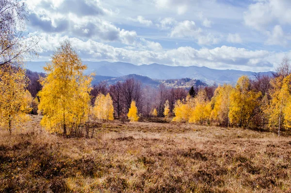 Karpaty Jesieni Kolorowa Jesienna Scena Krajobrazu — Zdjęcie stockowe