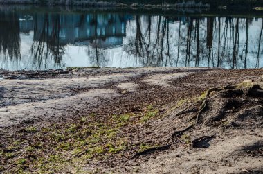 Reflection of trees in the mirror surface of the water of the lake of the city pond. Spring still life photo.