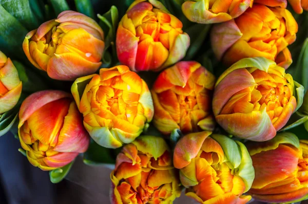 Stock image Bouquet of fresh orange tulips on a light blurred background. Spring flower photo for Valentine's Day, March 8, Mother's Day..