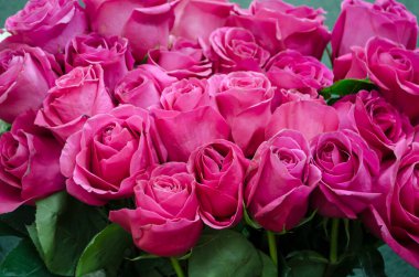 Gül kadife güller lüks bir romantik bukettir..