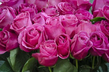 Gül kadife güller lüks bir romantik bukettir..